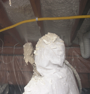 Jackson Mississipp crawl space insulation